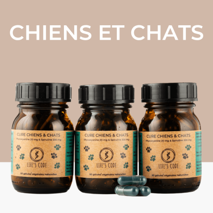 CHIENS ET CHATS 60 GELX3
