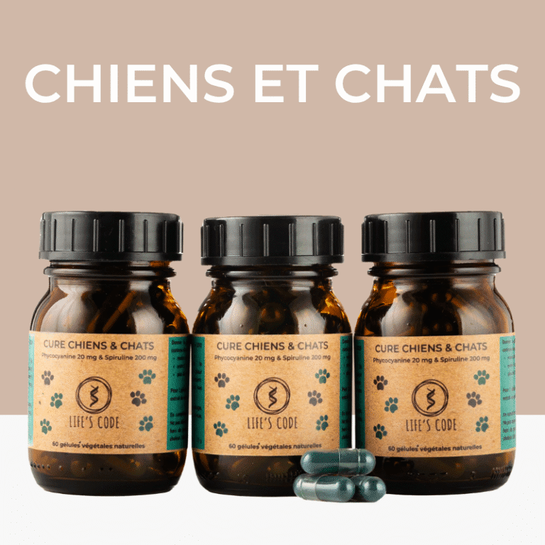 CHIENS ET CHATS 60 GELX3