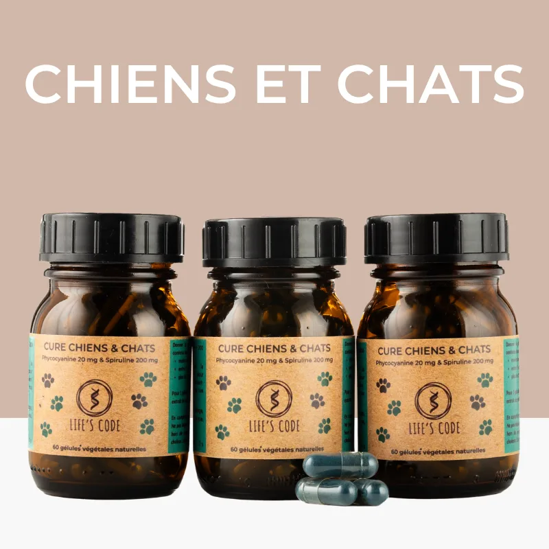 CHIENS ET CHATS 60 GELX3 CHIENS ET CHATS 60 GELX3
