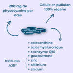 Pack Confort Articulaire : Phyco-Sublime + Collagène Marin 2000 Da type 1 – Image 3