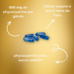 Phyco 500 : Phycocyanine lyophilisée nature 500 mg – Image 2