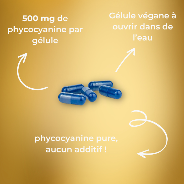 Phyco 500 : Phycocyanine lyophilisée nature 500 mg – Image 2