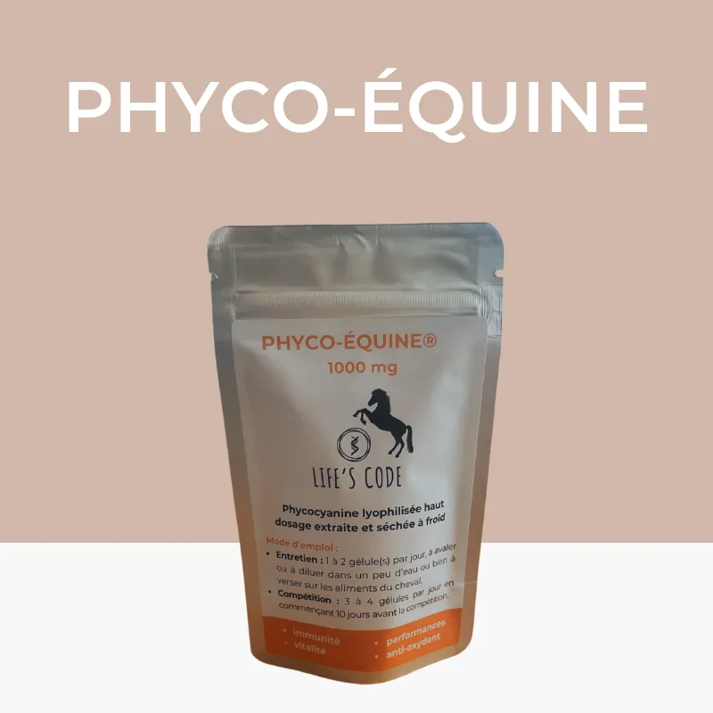 Phyco-Equine 200 gélules