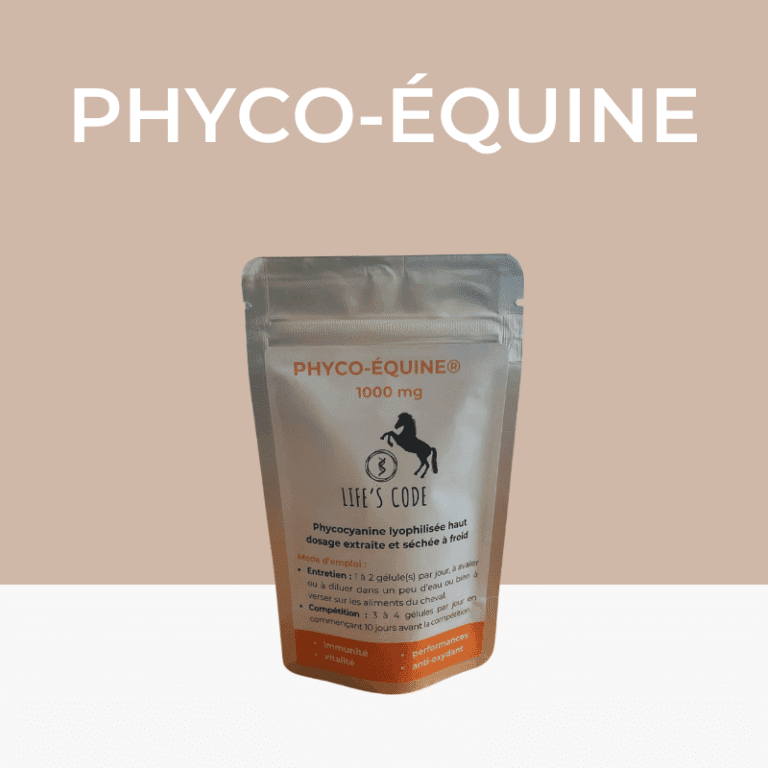 Phyco-Equine 21 gélules