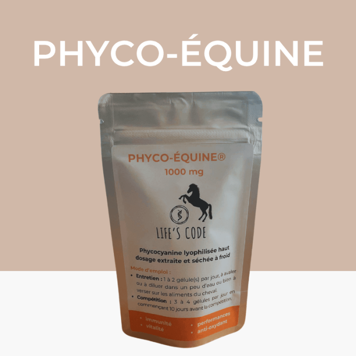 Phyco-Equine 500 gélules