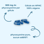 Phyco-Équine - Image 2
