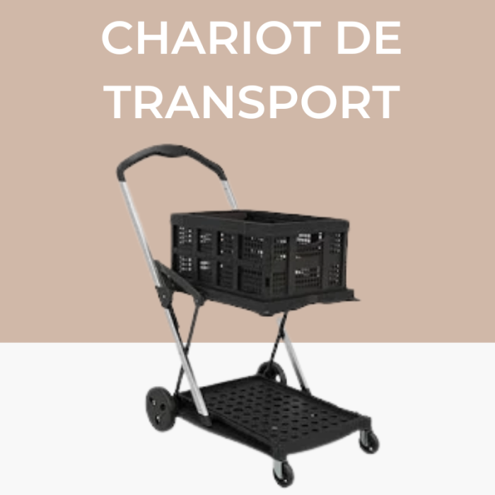 Formule 360° ÉQUINE - Bol d’Air Jacquier® modèle Équin – Image 4