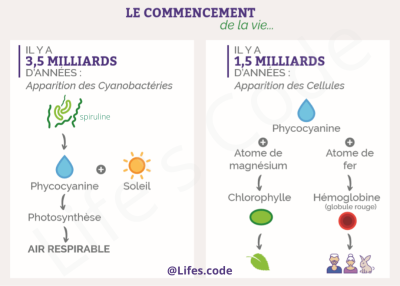 phycocianine-comment