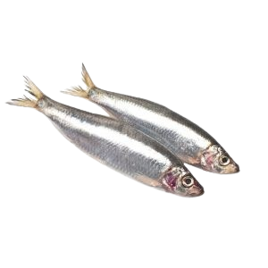 poisson-rjp0z0s2t397q06fjwh02i399ua3z2xelgqx2x9y9k-removebg-preview